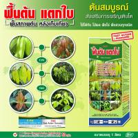 ราคา ฟื้นต้น ปุ๋ย ยา เร่งแตกใบ แตกกิ่ง แตกยอด ปุ๋ยน้ำทางใบ ปุ๋ยน้ำบำรุงต้น ฟื้นฟูสภาพต้นหลังเก็บเกี่ยว ฮอร์โมนพืช อาหารเสริมสำหรับพืช 1 ขวด หลายขนาด (10638596715)