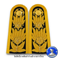 ราคา อินทรธนูข้าราชการพลเรือน อินทรธนูสำหรับเครื่องแบบพิธีการ ชุดขาว (17345389705)