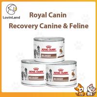 ราคา Royal Canin Recovery สุนัขและแมว195กรัม (22782861600)