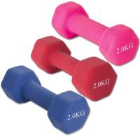 ราคา ดัมเบล 1 2Kg แพ็คคู่ dumbell dumbbell dumbells ดรัมเบล (11671485860)