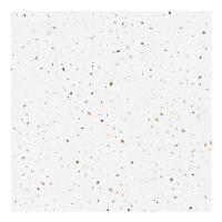 ราคา BOONPLUS กระเบื้อง DMELBOURNE WHITE R10 AGT602121R 60X60 A (22235700662)