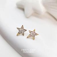 ราคา Rock Star Earrings ต่างหูดาว Swarovski Elements (23223218017)
