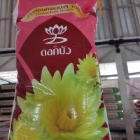 ราคา หอมมะลิปลายดอกบัว (20320596762)