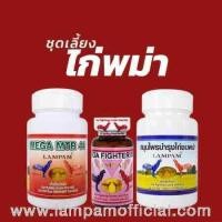 ราคา ชุดเลี้ยงไก่ชนพม่า ไก่ลำปำ (22170727632)