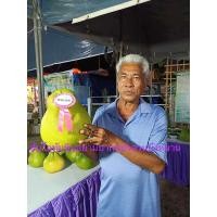 ราคา ฟรีค่าส่ง ส้มโอทับทิมสยามปากพนังแท้ นน 1 1 1 2kg จำนวน3ลูก (20357772195)