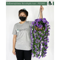 ราคา ไม้เลื้อยซายูริสีม่วงอัญชันปลอม ยาว 70 CM แบบแขวนกระถางใยมะพร้าว (7772452816)