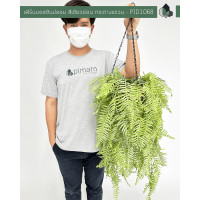 ราคา เฟิร์นบอสตันปลอม สีเขียวอ่อน พร้อมกระถางแขวน ออกใบกำกับภาษีได้ (21450101665)