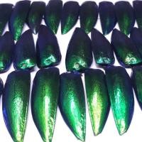 ราคา ปีก แมลง ทับ แมงทับ สำหรับ เครื่องประดับ ศิลปะ งานฝีมือ คัดพิเศษชิ้นต่อชิ้น (887108528)