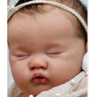 ราคา ชุดตุ๊กตาเกิดใหม่ขนาด20นิ้ว Npk Ashia น่ารักนอนทารกเหมือนจริงสัมผัสนุ่ม (23264837464)