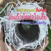 ราคา ใยแก้วยัดท่อไอเสีย ใยแก้วpropartใยแก้วเส้น ไม่คัน ถุงละ 2 กิโลกรัม สำหรับท่อที่มีแผ่นรองใยแก้วอยู่แล้ว (17433108045)