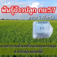 ราคา ข้าวปลูก กข 57 พันธุ์ข้าวปลูก กข 57 ขนาด 5 กิโลกรัม (22607170754)