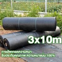 ราคา ขนาดใหญ่3x100m 3x50m 2x50m 2x100m 1x100m 1x50m ผ้ากันวัชพืช ผ้ากำจัดวัชพืช ระบายอากาศและน้ำซึมผ่านได้ (22781249657)