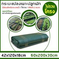 ราคา กะบะเพาะปลูก ไม่รวมโครงท่อพีวีซี กะบะป ลูกผัก เพาะปลูก แปลงผัก เพาะปลูก ปลูกพืชผักสวนครัว แปลงปลูกผัก มี2ขนาด 42x120x18ซม 60x200x30ซม (4246142367)