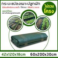 ราคา กะบะเพาะปลูก ไม่รวมโครงท่อพีวีซี กะบะป ลูกผัก เพาะปลูก แปลงผัก เพาะปลูก ปลูกพืชผักสวนครัว แปลงปลูกผัก มี2ขนาด 42x120x18ซม 60x200x30ซม (4246142366)