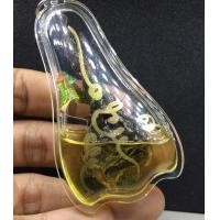 ราคา เดือยงูเหลือม เดือยงู ครูบาเดช ขนาดใหญ่ แช่ในน้ำมันว่าน ปิดทอง ลายยันต์ โชคลาภ ค้าขายดี ฟรี ผ้ายันต์ ท้าวเวสสุวรรณ ฟรี คาถาบูชา (715556150)