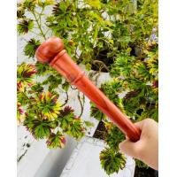 ราคา SHIBcoin ไม้ครู ไม้ตะพด ไม้เนื้อแข็ง หัวกลม ขนาดเล็ก คละสีคละไม้ ความยาวประมาณ 58 60 cm คละลาย 1 อัน (18043765617)