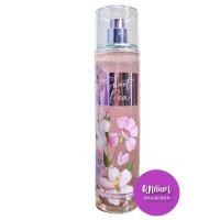 ราคา NEW Bath Body Works SWEET PEA Fine Fragrance Mist 236 ml บาธ แอนด์ บอดี้ เวิร์คส์ สเปรย์น้ำหอม (2085708699)
