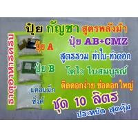 ราคา ปุ๋ยกันชา ปุ๋ยกัญ ชุด 10 ลิตร สูตรพลังม้า ปุ๋ยAB ปุ๋ยแคลเซี่ยมแม็กซิ้งค์CMZ สูตรรวมทำใบ ทำดอก ปุ๋ยแห้งผสมเอง ประหยัดกว่า สุดคุ้ม (18278105060)