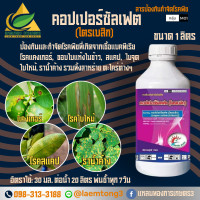 ราคา คอปเปอร์ซัลเฟต ไตรเบสิค copper sulfate tribasic 34 5 W V SC 1 ลิตร ป้องกันและกำจัดโรคพืชที่เกิดจากเชื้อแบคทีเรีย โรคแคงเกอร์ ขอบใบแห้งในข้าว สแคป ใบจุด ใบไหม้ ราน้ำค้าง รวมทั้งสาหร่าย ตะไคร่ต่างๆ (220