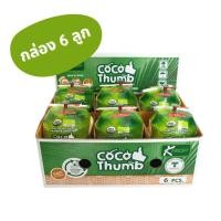 ราคา กล่อง 6 ลูก โคโค ทัมบ์ Coco Thumb มะพร้าวน้ำหอม พร้อมดื่ม มะพร้าวน้ำหอมลูกสดๆ พร้อมดื่ม (7638125296)
