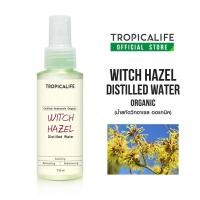 ราคา น้ำสกัดจากวิท ฮาเซล WITCH HAZEL ORGANIC DISTILLED WATER (20348183070)