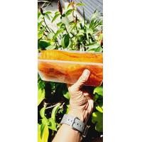 ราคา หมึกน้ำจิ้ม 3 รส หมึกบดเนื้อนุ่มราดด้วยน้ำจิ้ม 3 รส เนื้อแน่น ฉ่ำไปด้วยน้ำจิ้ม และนุ่มอร่อย (23028391035)