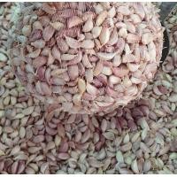 ราคา กระเทียมไทย กระเทียมกลีบไทย กระเทียมกลีบคัด กระเทียมคัด กระเทียม กระเทียมกลีบเล็ก ขนาด 200 กรัม (13461415103)