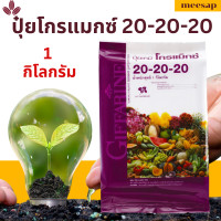 ราคา ปุ๋ยโกรแม็กซ์ 1กก สูตร20 20 20 ปุ๋ย ปุ๋ยกิฟฟารีน ปุ๋ยเกล็ด (20045888202)