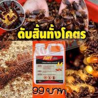ราคา น้ำยากำจัดมด กำจัดปลวก ANT Killer ขนาด 1 ลิตร (23339606455)