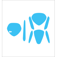 ราคา ฟิล์มกันรอยชุดไฟ Grand filano 2023 (16972775313)