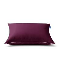 ราคา หมอนหนุน DD NAVY SATIN บรรจุใยสังเคราะห์ 100 ขนาด 19x29 นิ้ว ผ้า Micro Satin สีกรมท่า ต้องลอง ถึงจะรู้ว่าดีจริง สินค้าขายดี (22885239879)