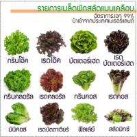 ราคา เมล็ดพันธุ์ผัก ผักสลัด เมล็ดเคลือบ นำเข้า พันธุ์ผักสลัด ยอดนิยม 11 ชนิด จำนวน 242 เมล็ด อัตราการงอก 99 (480624627)
