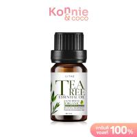 ราคา LITHZ Tea Tree Essential Oil 10ml ไลทซ์ ที ทรี เอสเซนเชียล ออยล์ (21379107106)