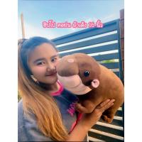 ราคา ตุ๊กตาหมูเด้ง ผ้าเด้งๆ คอย่น น่ารัก ขนาด 16 นิ้ว นุ่มมาก (23255913847)