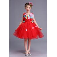 ราคา ชุดการแสดงเด็ก ชุดเต้นรำสีแดง ชุดกระโปรงซาติน ชุดการแสดง ชุดเจ้าหญิง วัสดุอื่นๆ ผ้าฝ้ายอินทรีย์ ลายการ์ตูน (21270478037)