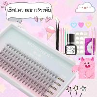 ราคา พร้อมส่ง ชุดต่อขนตาถาวรชุดต่อขนตาด้วยตัวเองขนตาปลอมขนตาต่อเองชุดขนตาปลอมต่อเองขนตาถาวรขนตาขนมิ้งค์เซ็ทต่อขนตา (13297948995)