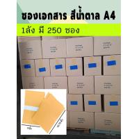ราคา ยกลัง ซองเอกสารสีน้ำตาล ซองไปรษณีย์ A4 ขนาด 9x12 75 นิ้ว 1ลัง มี 250ซอง สินค้าเกรทA (22323431642)