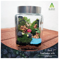 ราคา ชุดจัดสวนขวดแก้ว ทรงเหลี่ยมฝาใส ตั้งได้2แบบ Terrarium Set 7 ครบเซ็ต ชุดจัดสวนขวด พร้อมส่ง (17613301353)