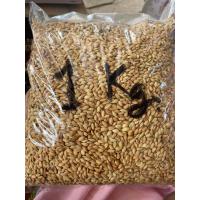 ราคา เมล็ดพันธุ์ข้าวเหนียวไก่น้อยลาว หอมมากเหนียวนุ่มหนึบ เมล็ดพันธุ์ข้าวพื้นเมือง 1กิโลกรัม (16953805782)