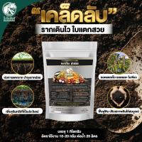 ราคา ของดีสำหรับทุเรียน ฮิวมิคผง ทาร์โบฮิวมิค ตราไดโนเร็กซ์ ฮิวมิคเข้มข้น ลดดินเปรี้ยว ปรับสภาพดิน เร่งรากเร่งใบ เพิ่มประสิทธิภาพของราก บรรจุ 1 กิโลกรัม (23086119864)