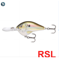 ราคา เหยื่อปลอม RAPALA DIVES TO SERIES รหัส DT (19647397938)