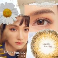 ราคา คอนแทคเลนส์ Daisy Brown Neo Cosmo รายเดือน เดซี่ สีน้ำตาล โตเล็กน้อย สวยธรรมชาติสไตล์ญี่ปุ่น รายเดือน (1119632061)