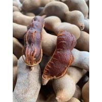 ราคา สดจากฟาร์ม มะขามหวานสีทองแท้ 100 จ เพชรบูรณ์ ราคาถูก ที่สุด ราคาส่ง (21417794122)