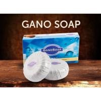 ราคา กาโนโซฟ สบู่นมแพะ GANO SOAP (20724964233)