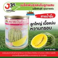 ราคา เมล็ดแตงโม สายน้ำผึ้ง 20กรัม เมล็ดพันธุ์ตราตะวันต้นกล้า เมล็ดพันธุ์ดี แตงโมเนื้อสีเหลือสายน้ำผึ้ง (21598453407)