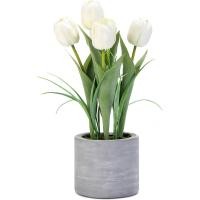ราคา 1 Pot Artificial Potted Tulips Flowers with Cement Vase Vivid Tulip Flowers Arrangement for Home Office Décor House Decorations 12 6 INCH (21764242628)