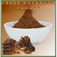 ราคา 100G Chaga Mushroom Powder Premium Quality Promotes Immune Health anti fatigue (23269578940)