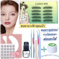 ราคา สินค้าพร้อมส่ง ชุดต่อขนตาด้วยตัวเองกาวไม่แสบตาด้วยขนตานางฟ้าสุดแบ๊ว ขนตาถาวร ขนตาถาวรต่อเอง ขนตาปลอม ชุดต่อขนตาถาวร (16642125945)