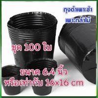 ราคา ถุงดำเพาะชำ ถุงเพาะชำ ถุงเพาะเมล็ด ถุงเพาะกล้า ถุงปลูกผัก ถุงดำเพาะกล้าไม้ ถุงดำ6นิ้ว ถุงดำเพาะกล้า6นิ้ว100ใบ ถุงปลูกผักถุงดำเพาะเมล็ด (10852884656)