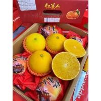 ราคา ส้มเอฮิเมะ เนื้อเยลลี่ ล๊อตใหม่ หวาน หอม อร่อย 1 ลัง 10 12 ลูก (23353231879)